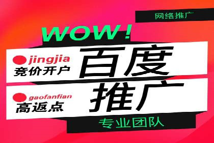 案例分析：百度竞价托管外包助力品牌崛起